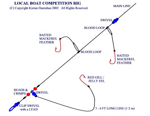 Shore Angling &amp; Charter Boat Fishing in Ireland - THE 
